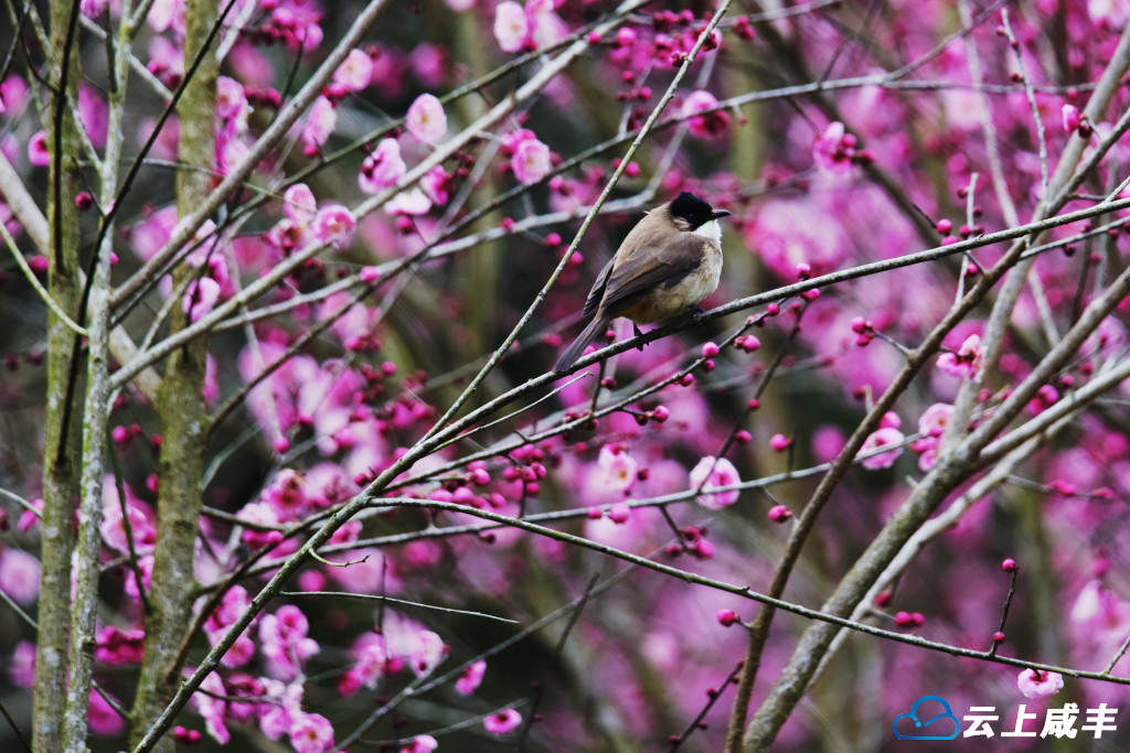 LWJ_2521_副本.jpg LWJ_2521_副本.jpg