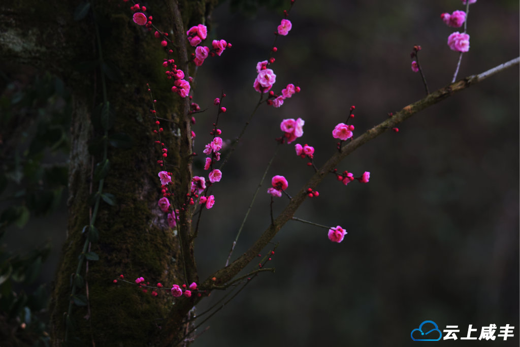 LWJ_2603_副本.jpg LWJ_2603_副本.jpg