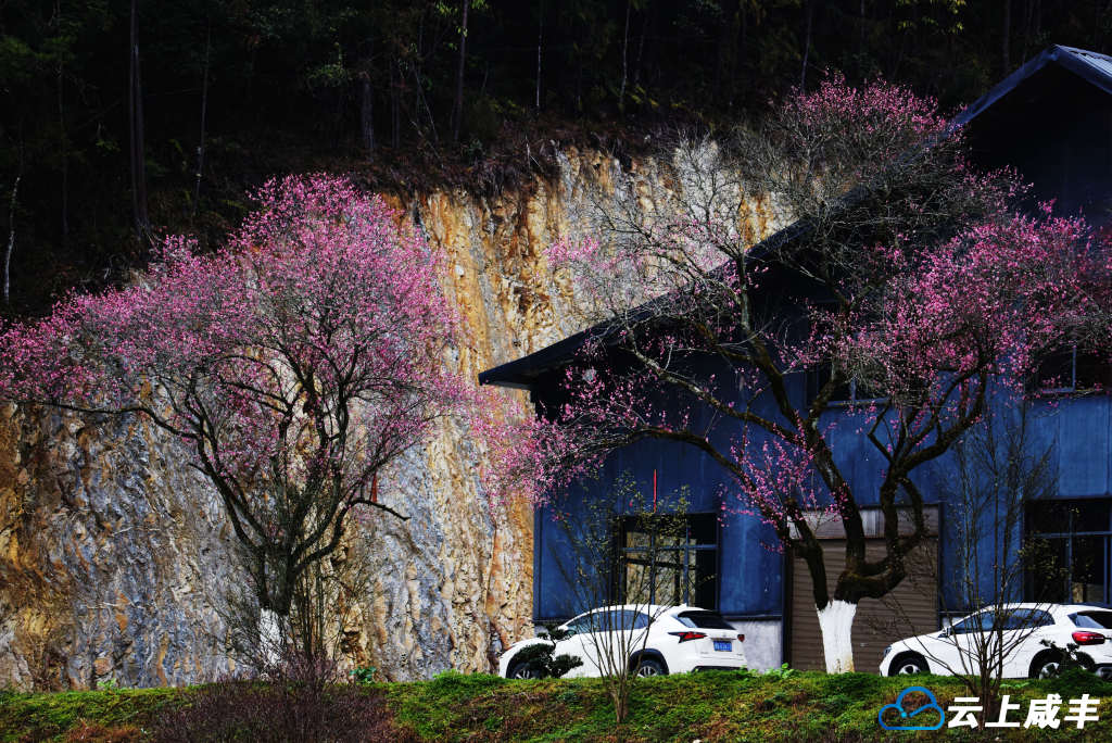 LWJ_2608_副本.jpg LWJ_2608_副本.jpg