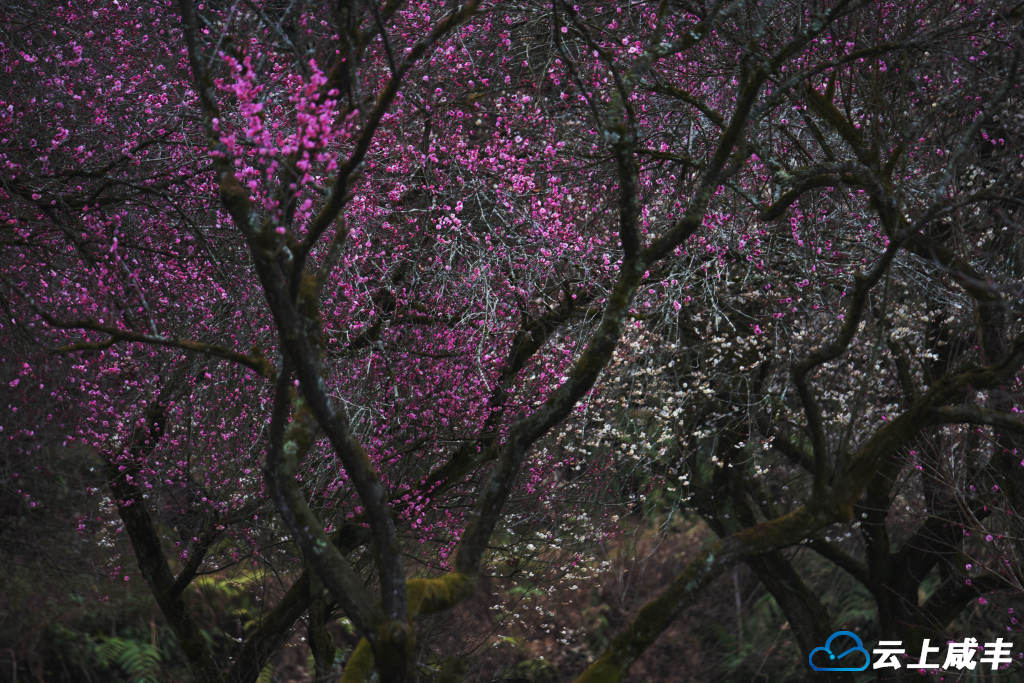 LWJ_2579_副本.jpg LWJ_2579_副本.jpg