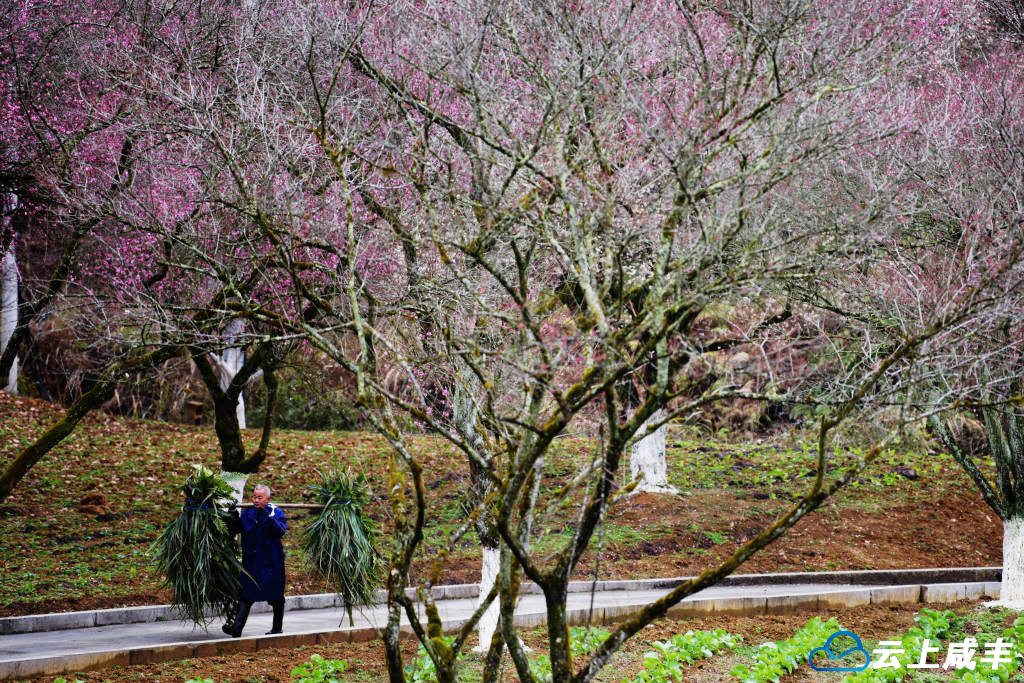 LWJ_2472_副本.jpg LWJ_2472_副本.jpg