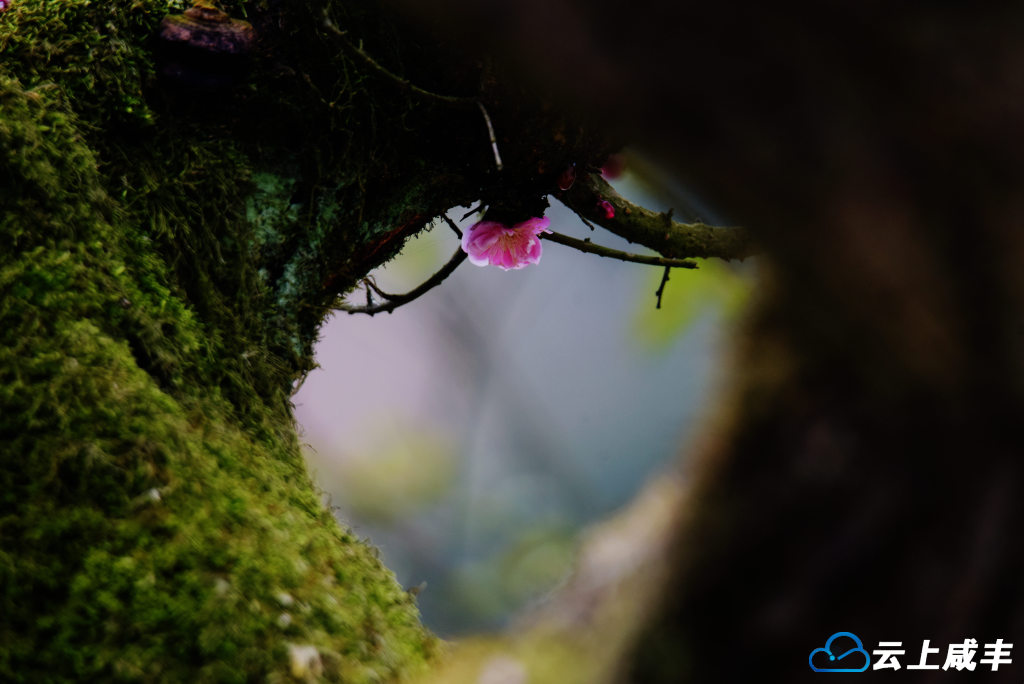 LWJ_2585_副本.jpg LWJ_2585_副本.jpg