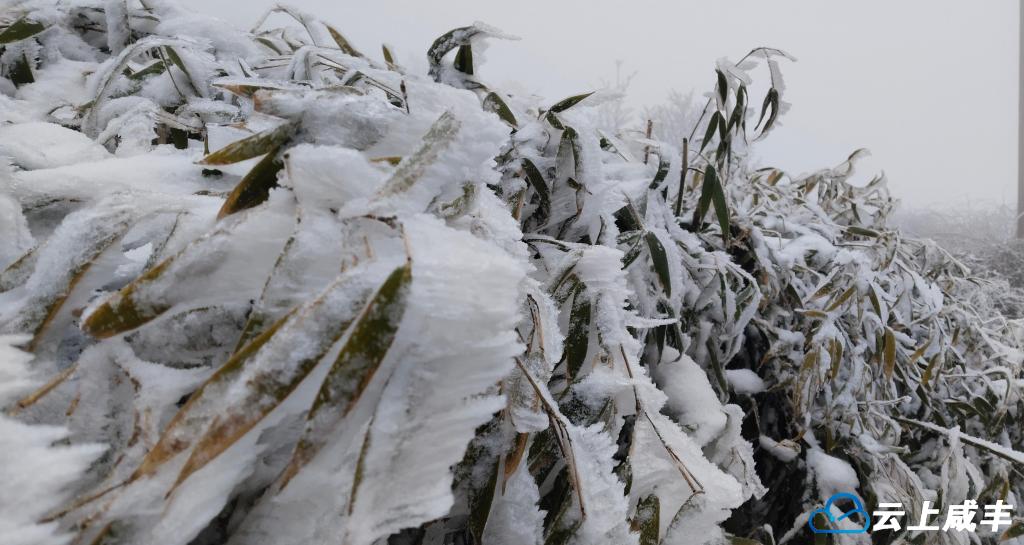 67e6e39f5de6739d1c8a45954f3a9ca2.jpg 67e6e39f5de6739d1c8a45954f3a9ca2.jpg