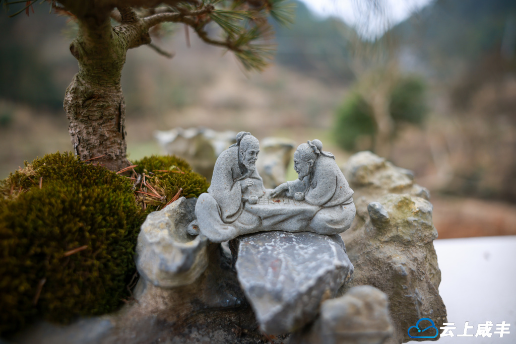 679A3879.jpg 679A3879.jpg