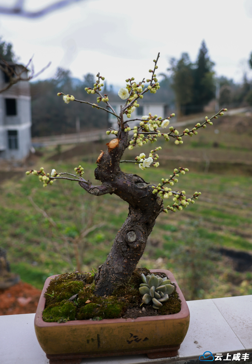 679A3880.jpg 679A3880.jpg