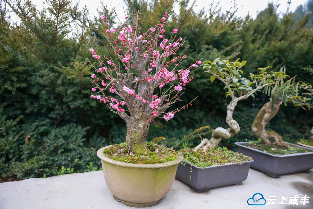 679A3868.jpg 679A3868.jpg