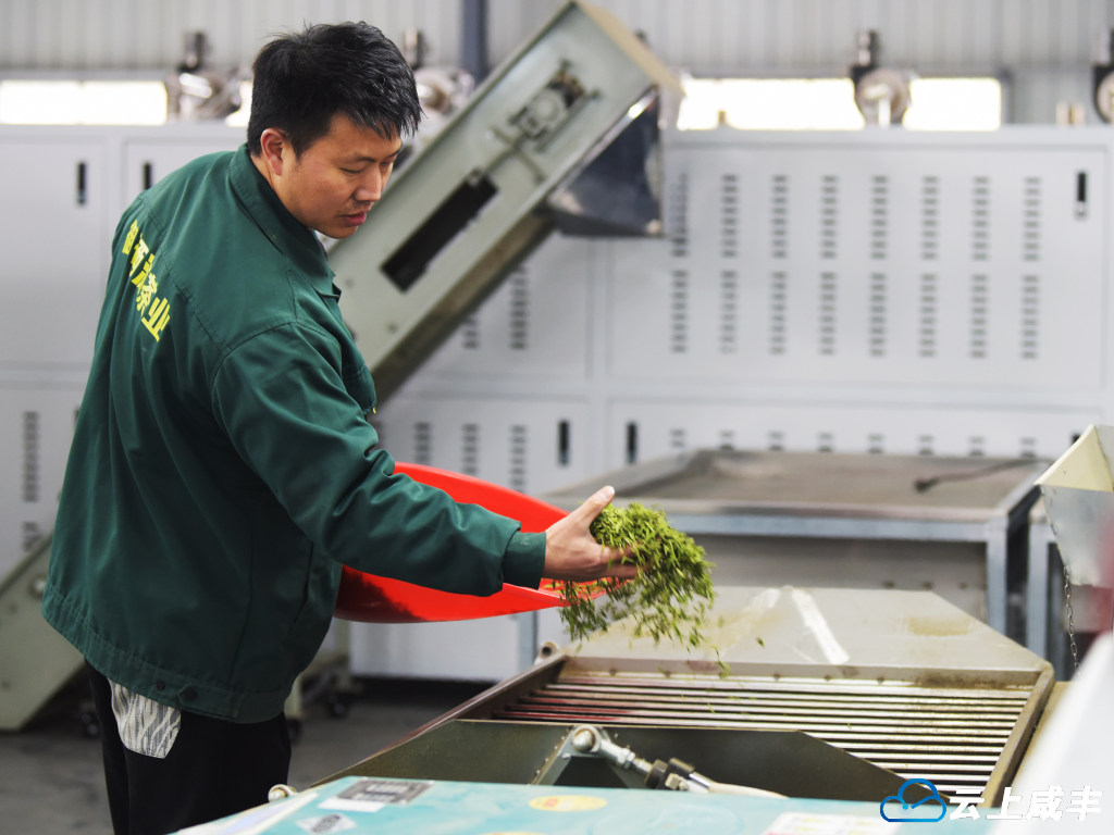 LWJ_2882_副本.jpg LWJ_2882_副本.jpg