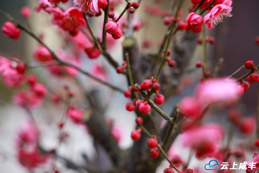 679A3870.jpg 679A3870.jpg