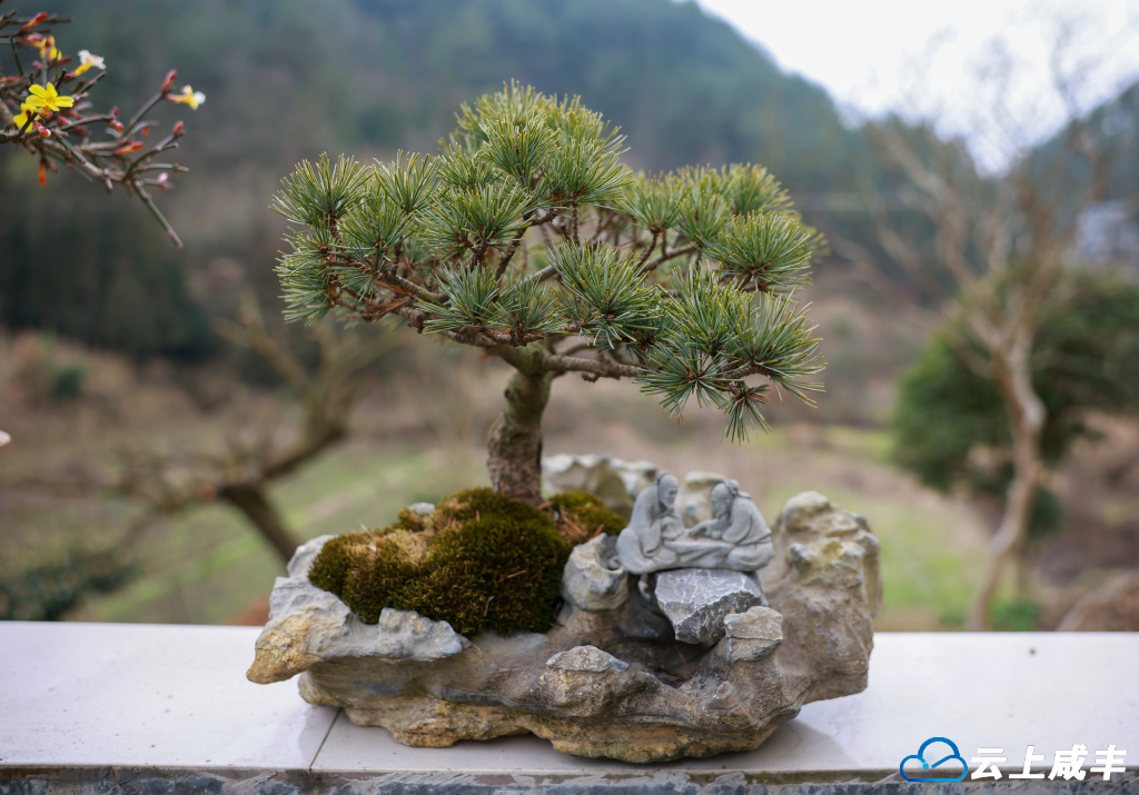 679A3882.jpg 679A3882.jpg