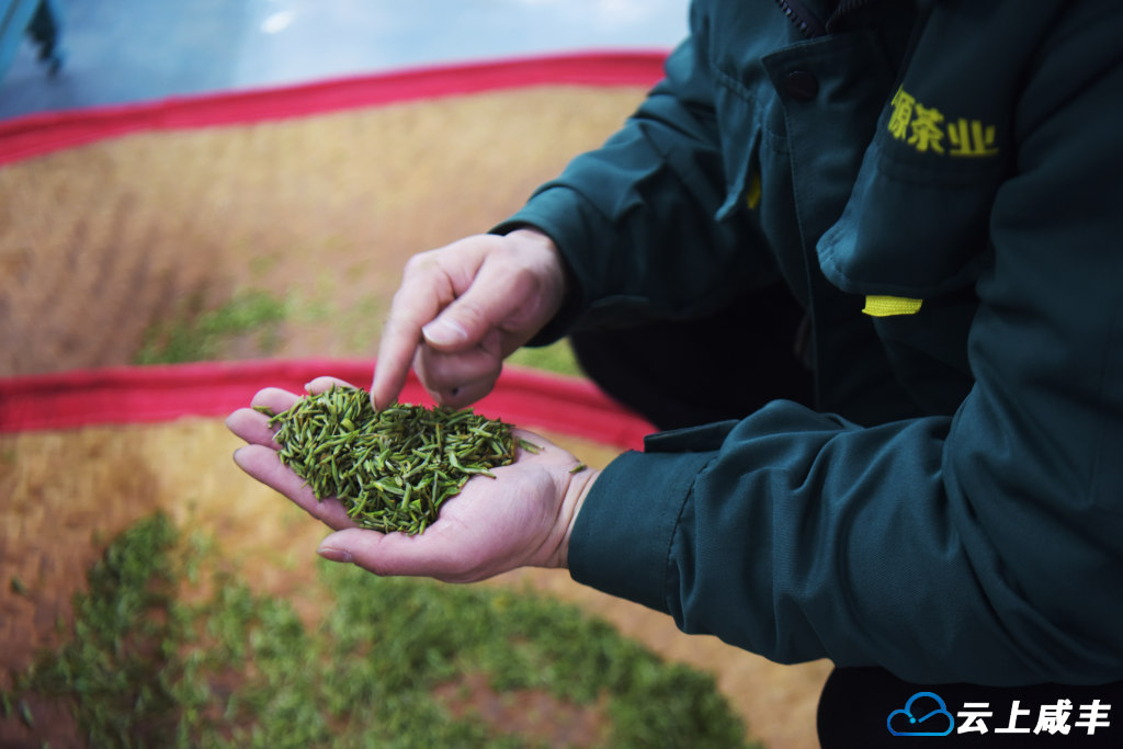 LWJ_2917_副本.jpg LWJ_2917_副本.jpg