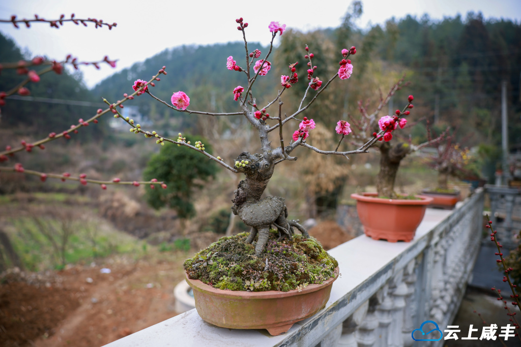 679A3878.jpg 679A3878.jpg