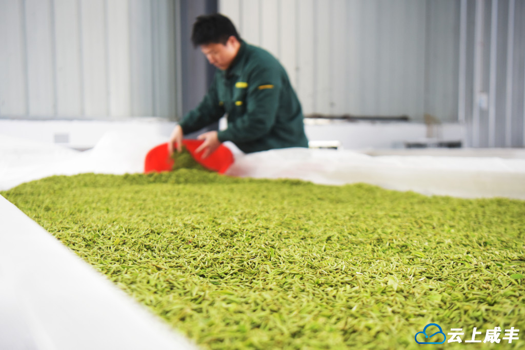 LWJ_2980_副本.jpg LWJ_2980_副本.jpg