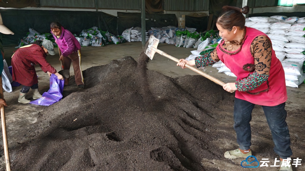 鸡鸣坝村春耕备耕忙