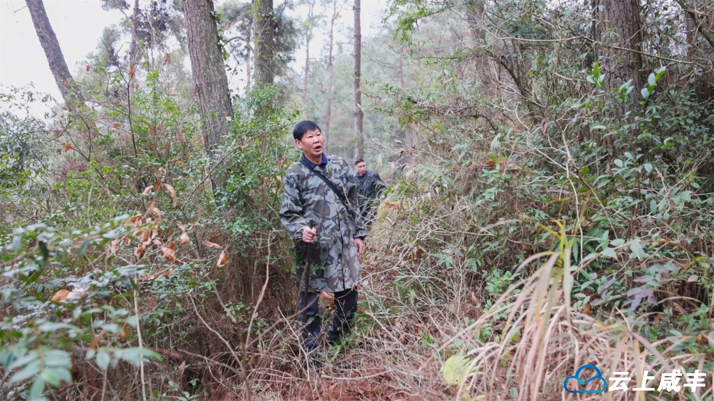 与树根对话——深山根雕艺人30年的匠心坚守