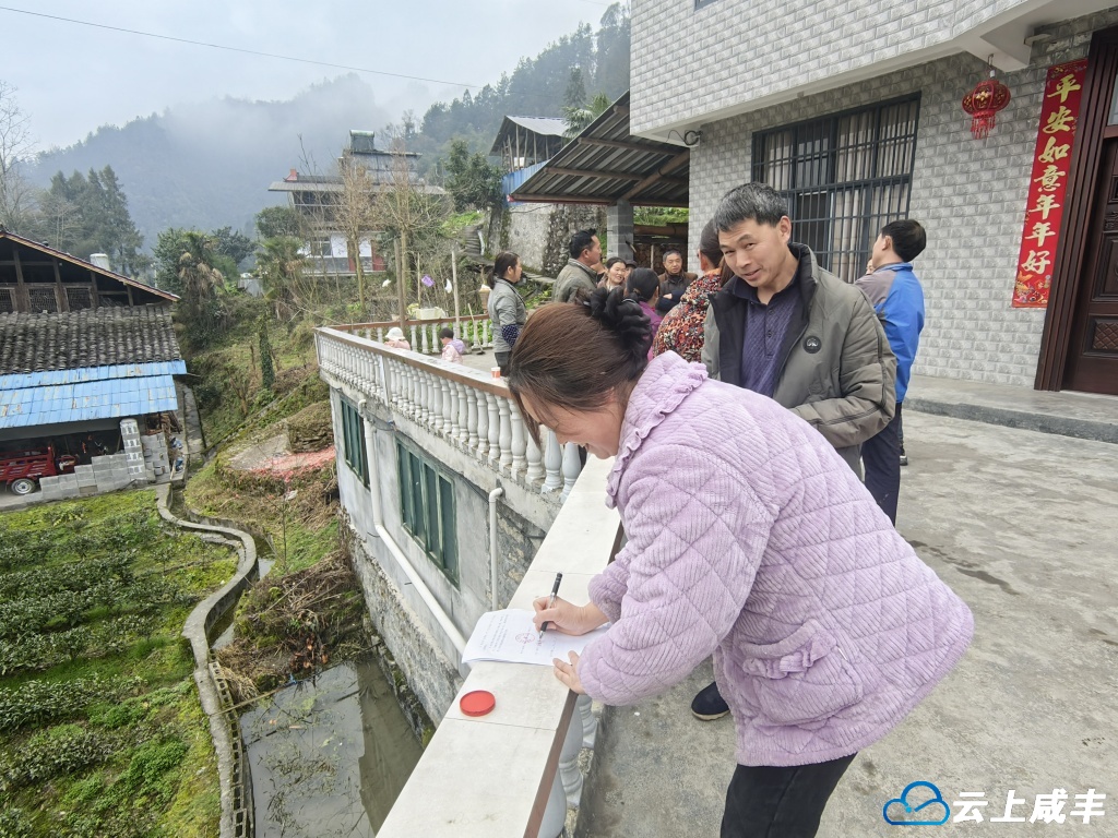 小村建设1200亩抹茶基地