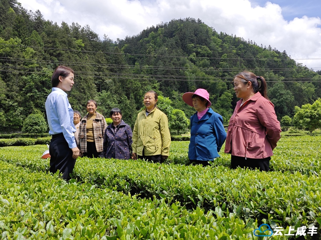 “无讼村居”背后的“枫桥经验”实践