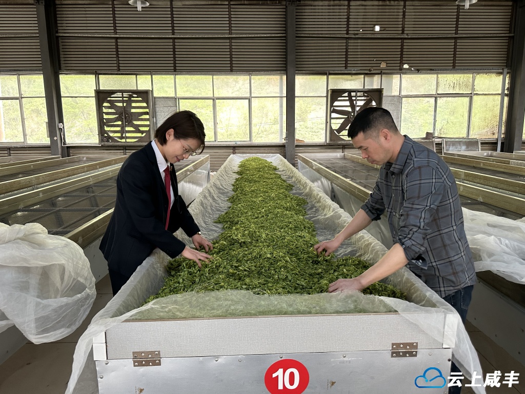 微信图片_20250310115029.jpg 微信图片_20250310115029.jpg