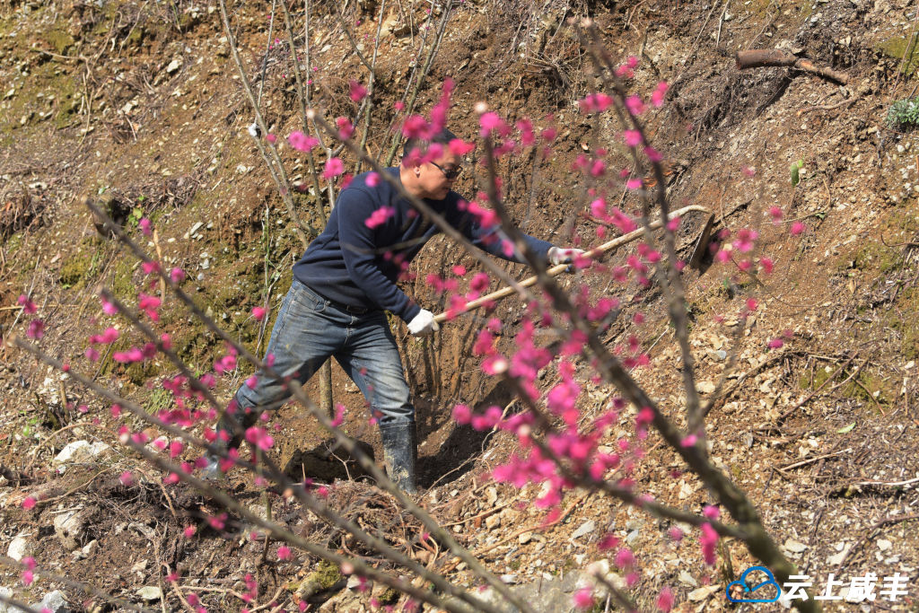 LWJ_3549_副本.jpg LWJ_3549_副本.jpg