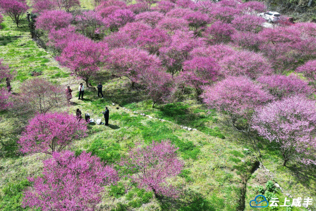 DJI_0112_副本.jpg DJI_0112_副本.jpg