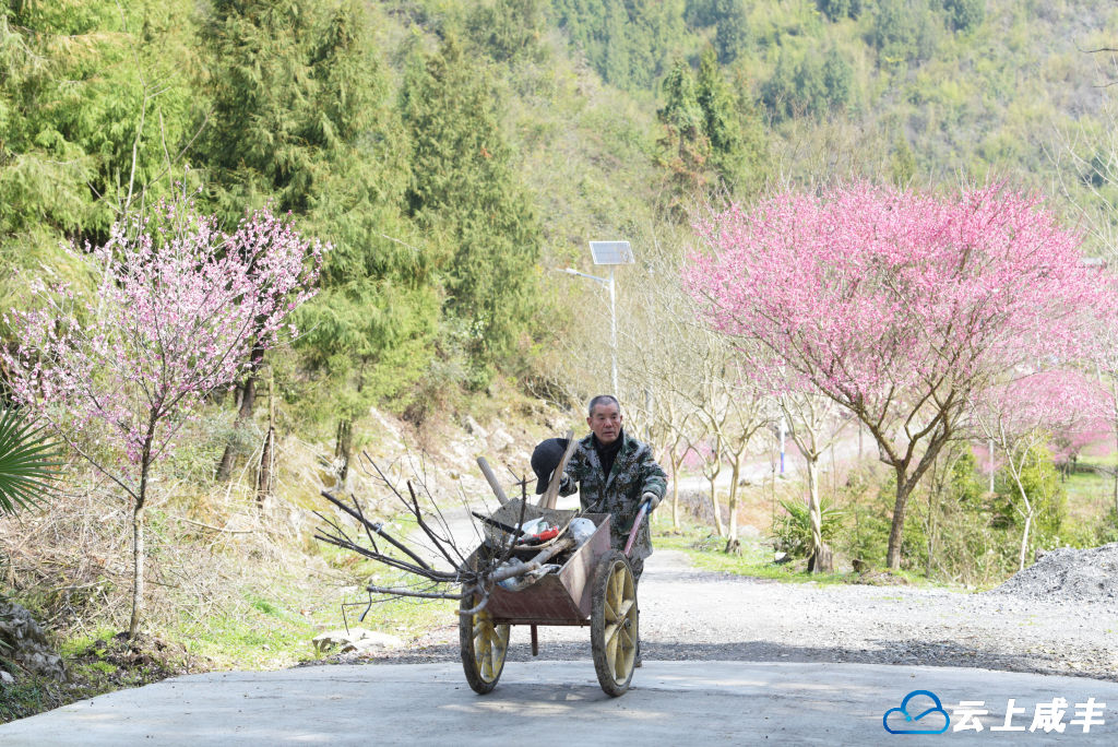 LWJ_3658_副本.jpg LWJ_3658_副本.jpg