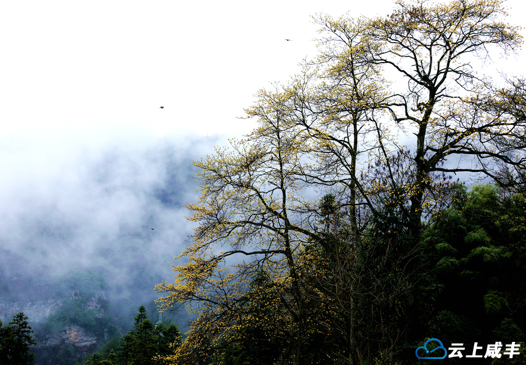 IMGL6297_副本_副本.jpg IMGL6297_副本_副本.jpg