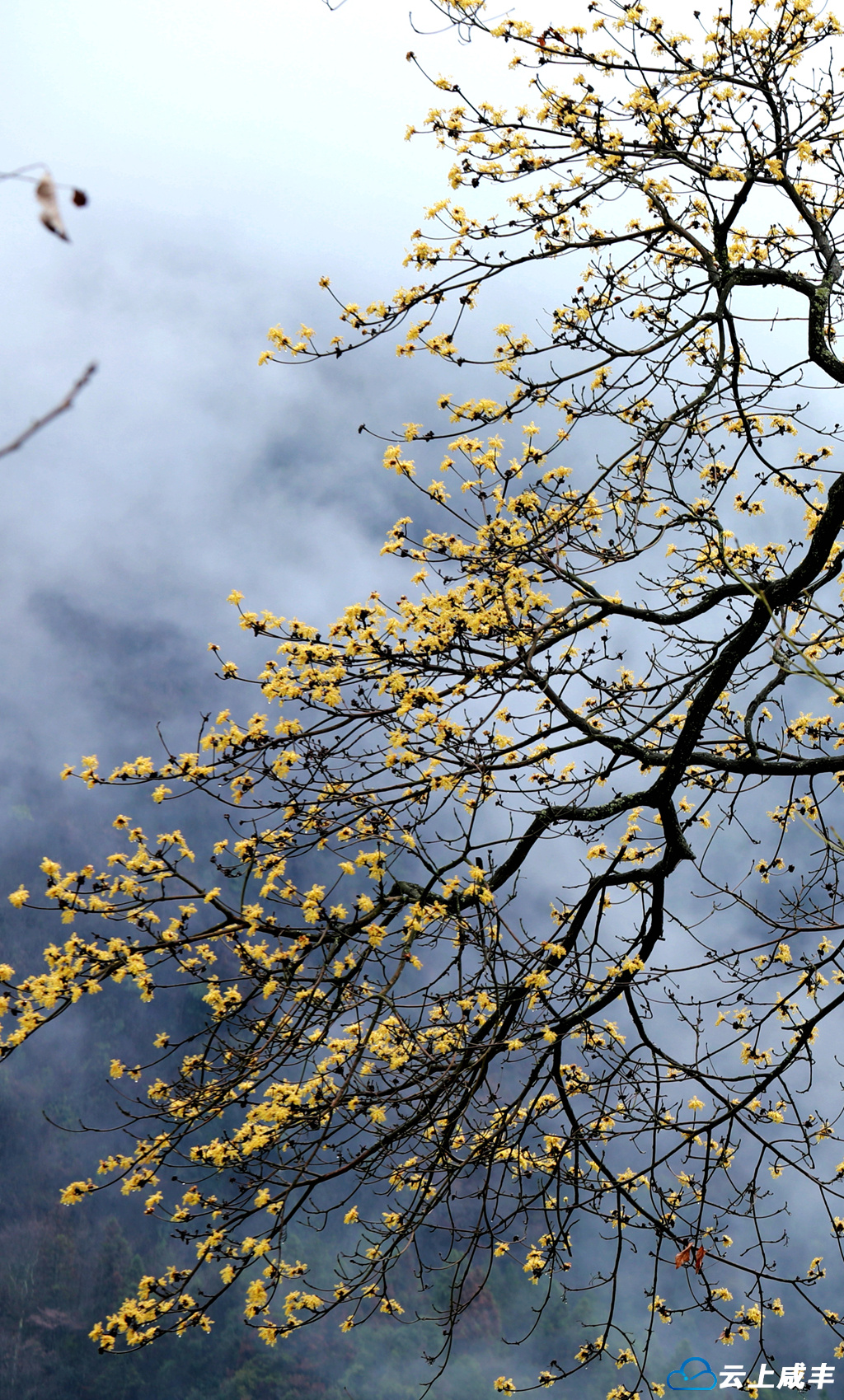 IMGL6366_22_副本.jpg IMGL6366_22_副本.jpg