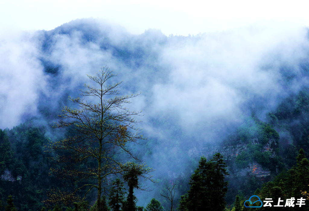 IMGL6292_副本_副本.jpg IMGL6292_副本_副本.jpg