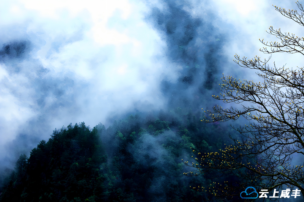 IMGL6290_副本_副本.jpg IMGL6290_副本_副本.jpg