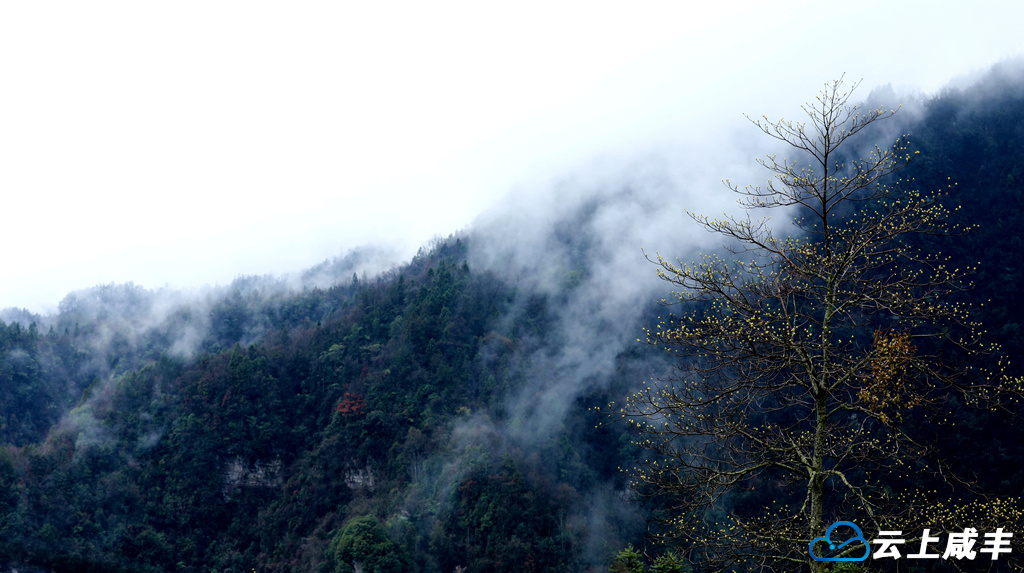 IMGL6370_副本_副本.jpg IMGL6370_副本_副本.jpg