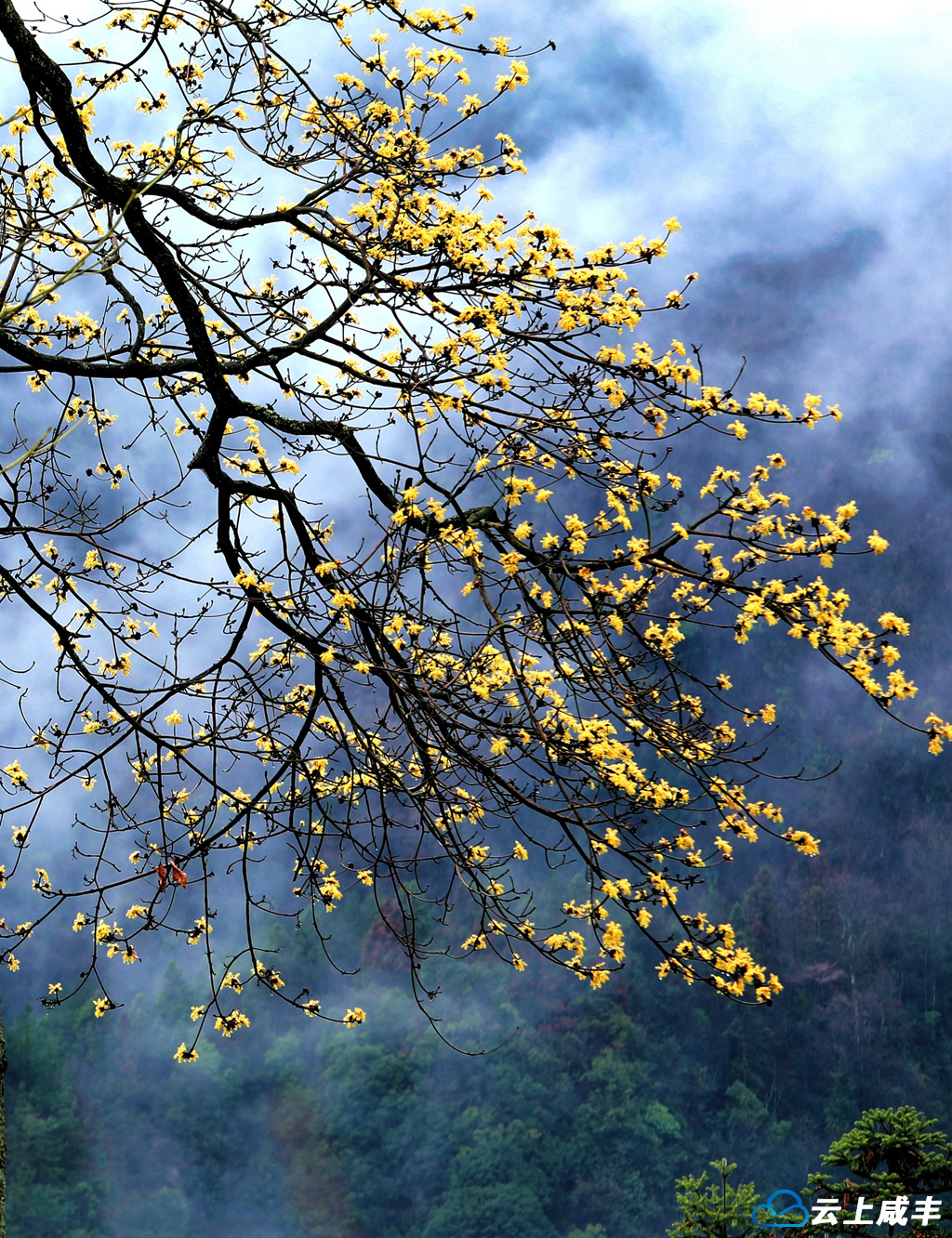 IMGL6366_副本_副本.jpg IMGL6366_副本_副本.jpg