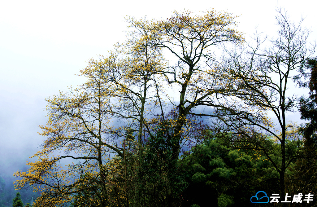 IMGL6303_副本_副本.jpg IMGL6303_副本_副本.jpg