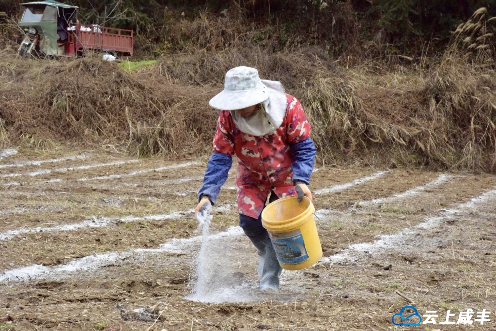 78b598c558b558400c44bd5ae88f541.jpg 78b598c558b558400c44bd5ae88f541.jpg