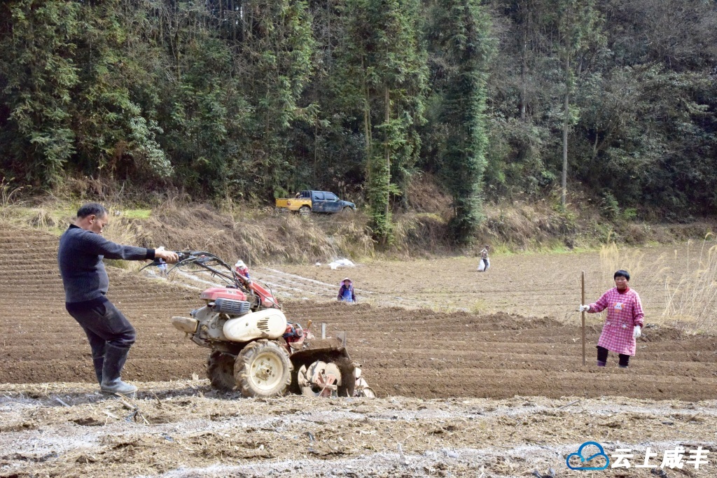 0fd3aa4d6137756509fdf6c5c644ad3.jpg 0fd3aa4d6137756509fdf6c5c644ad3.jpg