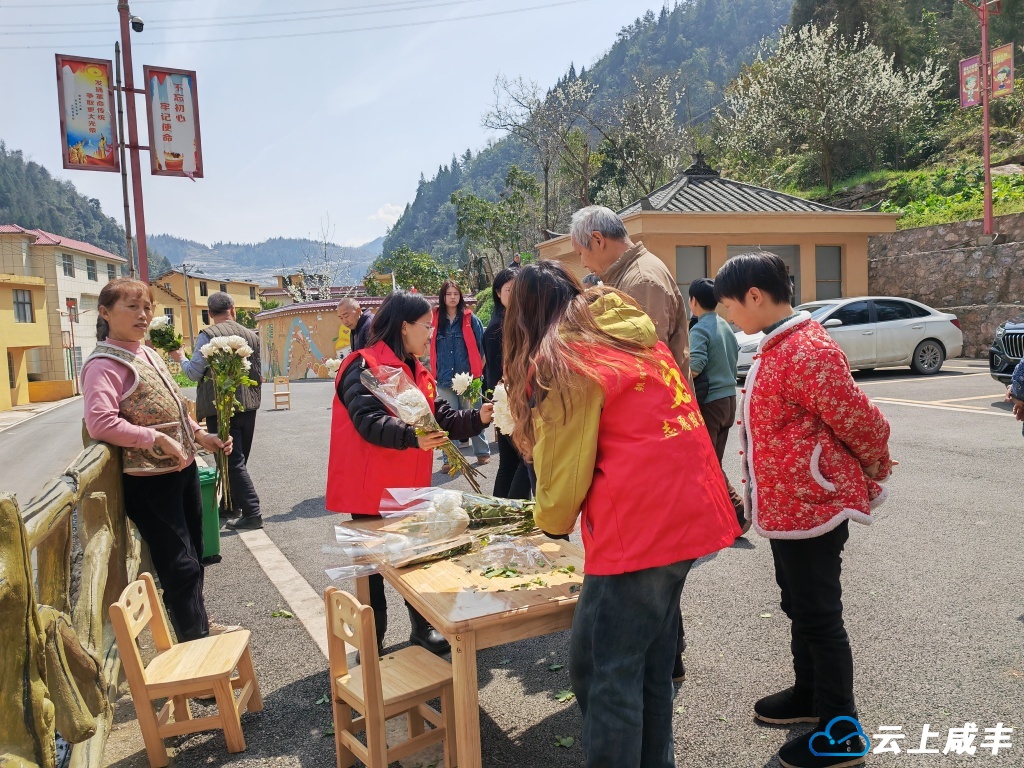 倡导文明祭祀 朝阳寺镇发放13000支鲜花