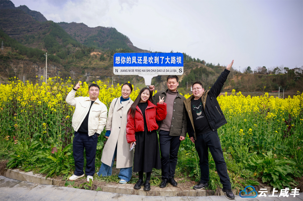 大路坝油菜花盛开 游客徜徉金色花海