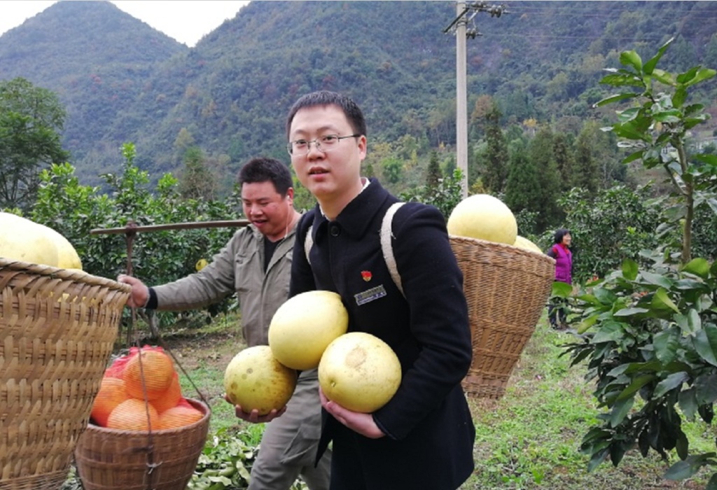 【学习强国】湖北咸丰农商银行播洒1.9亿元“金融春雨”助春耕