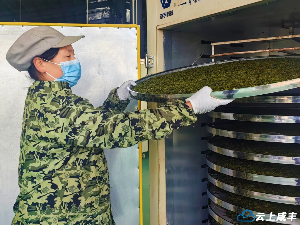 小村：加快茶企重建 保障春茶生产