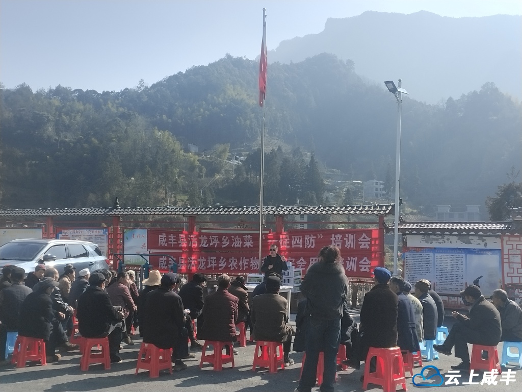 活龙坪乡严控茶叶农药残留风险