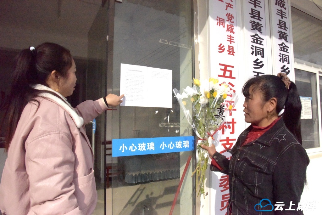 黄金洞：鲜花寄哀思 文明祭扫树新风