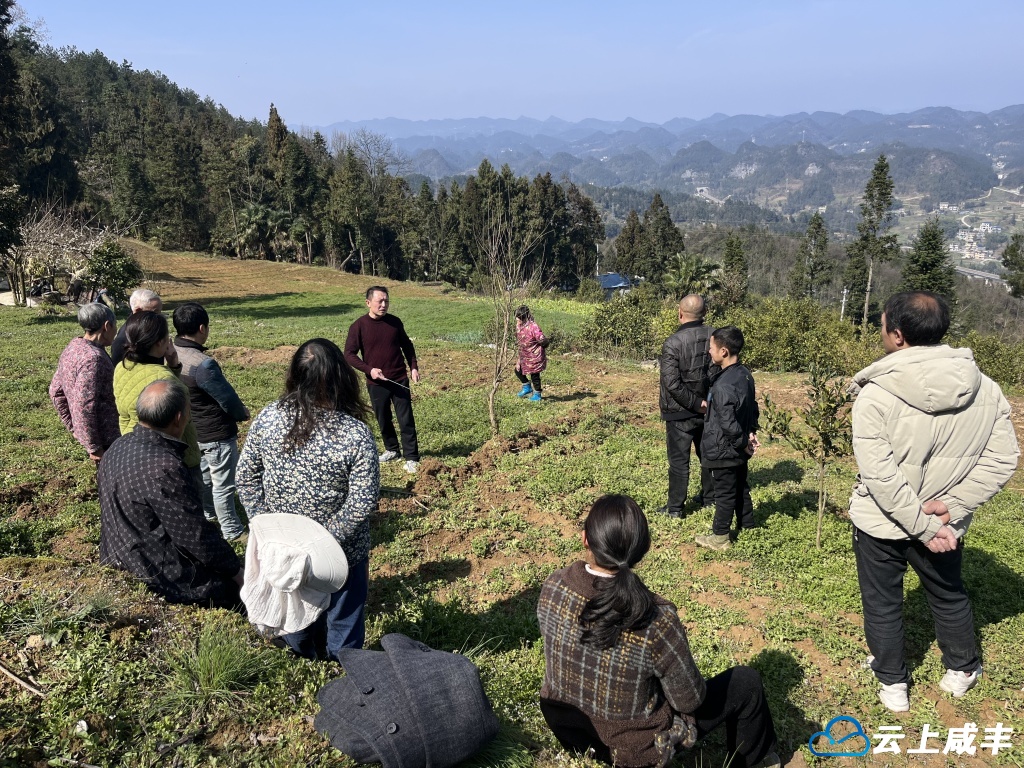 曲江镇推广大豆玉米带状复合种植500亩