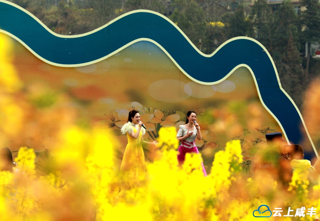 3月23日，第三届油菜花观光活动在大路坝区举行。咸丰县融媒体中心 文朝顺 摄 (4).JPG