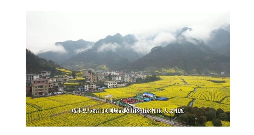 【新华社】客户端｜鄂渝边区第三届油菜花旅游观光活动启幕