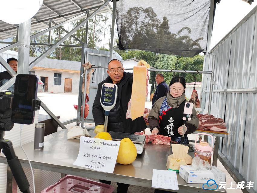 嫁出去的姑娘为何愿返乡——咸丰县唐崖镇彭家沟村乡村振兴再观察