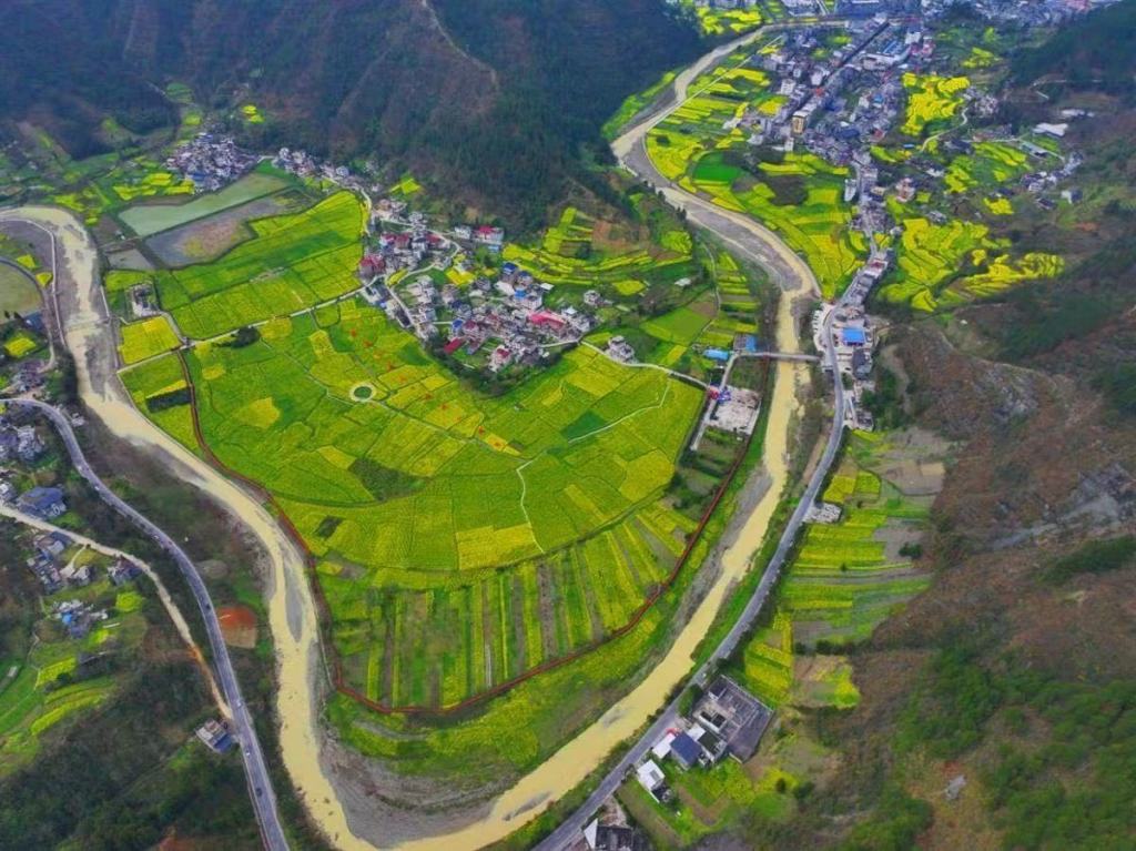 【学习强国】鄂渝边区花生金——湖北咸丰大路坝油菜花产业突围记