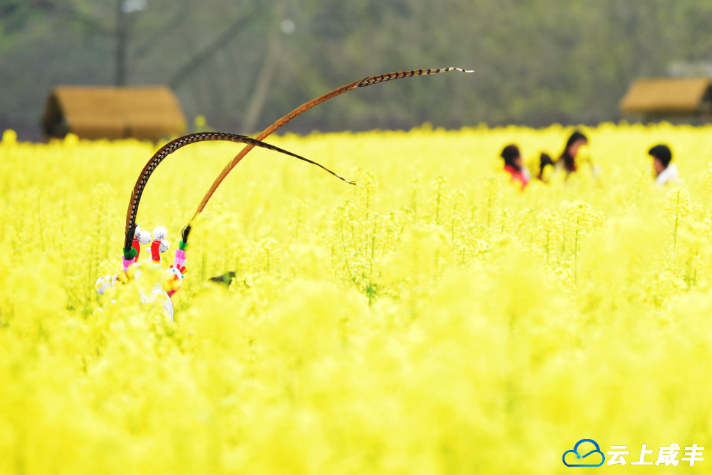 LWJ_5755_副本.jpg LWJ_5755_副本.jpg