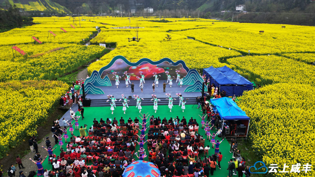 大路坝：花田飞歌醉游人
