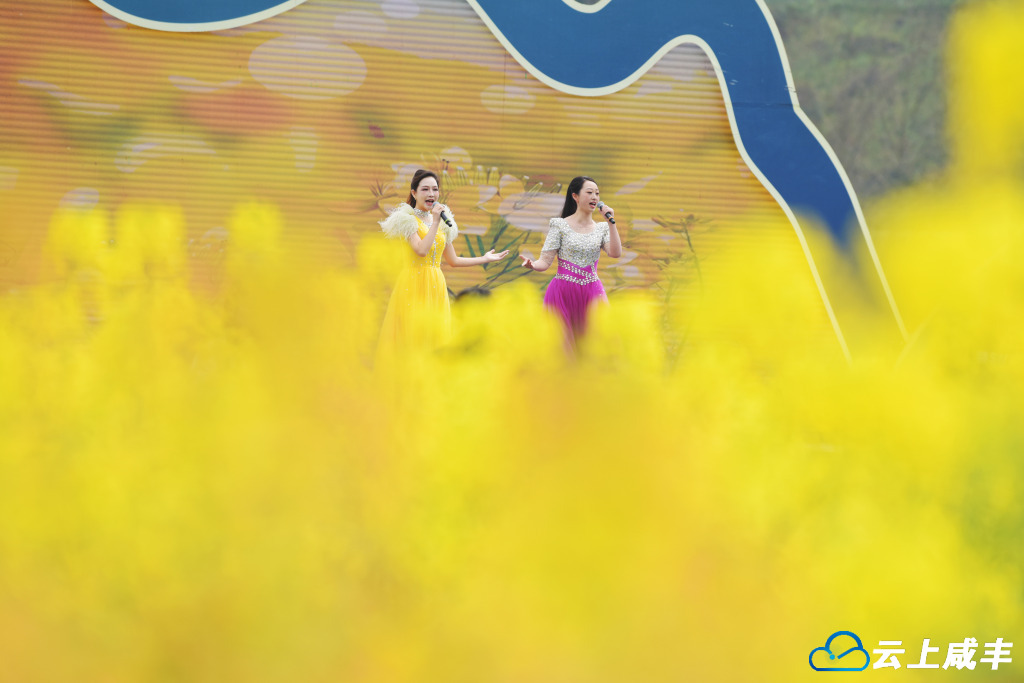 LWJ_5711_副本.jpg LWJ_5711_副本.jpg