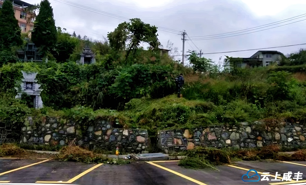 清风绿意抚青山——望城坡狮子堡的“绿色之变”