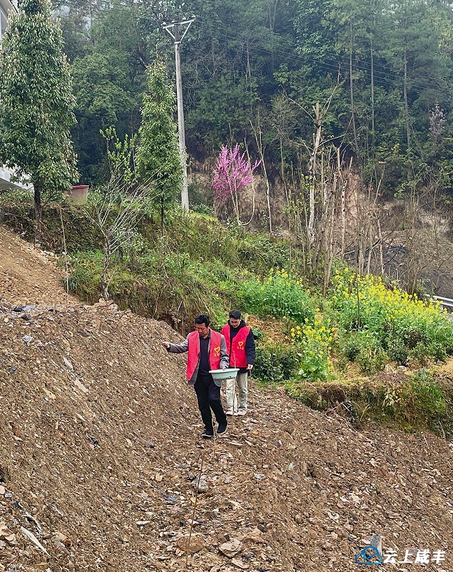 活龙坪乡楼子庄村民播撒花种美化家园