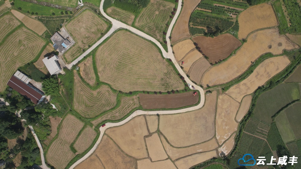 堰塘食品：建立600余亩稻油轮作示范基地